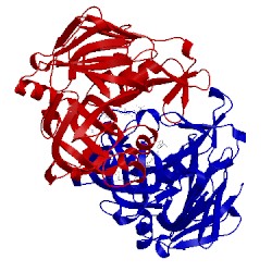 Image of CATH 1xe6
