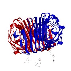 Image of CATH 1xec