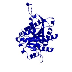 Image of CATH 1xfk