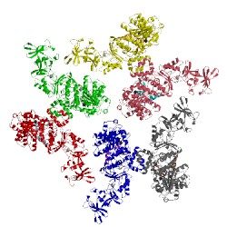 Image of CATH 1xfw