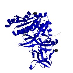 Image of CATH 1xhb