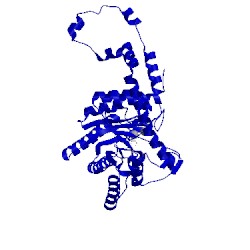 Image of CATH 1xif