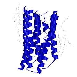 Image of CATH 1xio