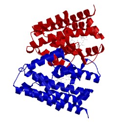 Image of CATH 1xk2