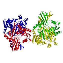 Image of CATH 1xmm