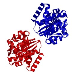 Image of CATH 1xo1