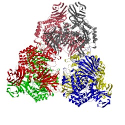 Image of CATH 1xsi