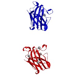 Image of CATH 1xtm