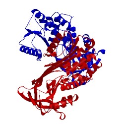 Image of CATH 1xu8