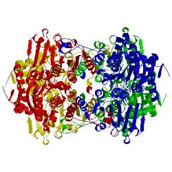 Image of CATH 1xwf