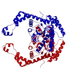 Image of CATH 1xya