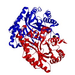 Image of CATH 1xys