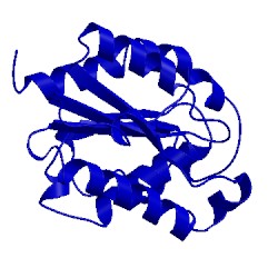 Image of CATH 1xzj