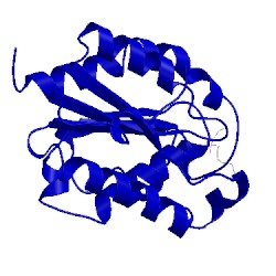 Image of CATH 1xzl
