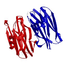 Image of CATH 1y2u