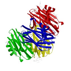 Image of CATH 1y2x