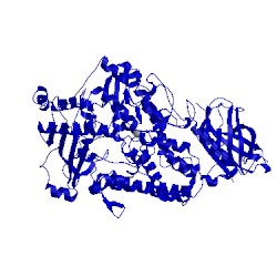 Image of CATH 1y4k