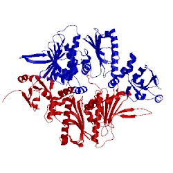 Image of CATH 1y4u