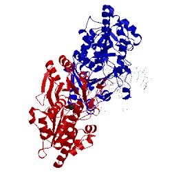 Image of CATH 1y6g