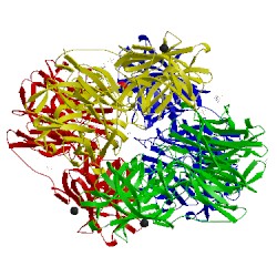 Image of CATH 1y7b