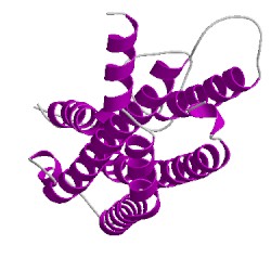 Image of CATH 1yauO01