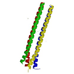 Image of CATH 1ybk