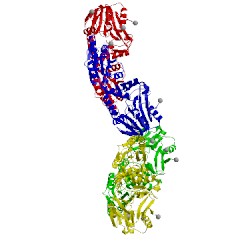Image of CATH 1ycg