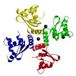 Image of CATH 1yd6