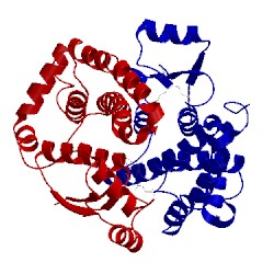 Image of CATH 1ydk