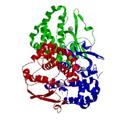 Image of CATH 1yj6