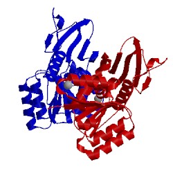 Image of CATH 1yl5