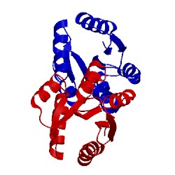 Image of CATH 1ymu