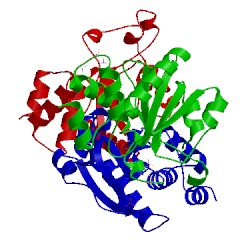 Image of CATH 1yn9