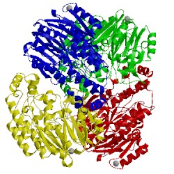 Image of CATH 1ynh