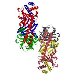 Image of CATH 1yqf