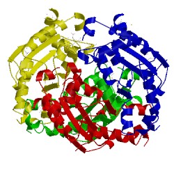 Image of CATH 1yta