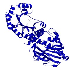 Image of CATH 1ytk