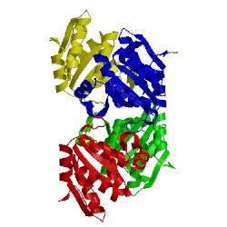 Image of CATH 1ytl