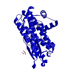 Image of CATH 1yvh