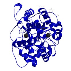 Image of CATH 1yyg