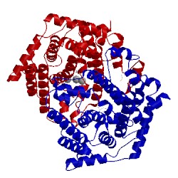 Image of CATH 1yyr