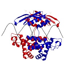 Image of CATH 1yz9