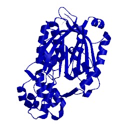 Image of CATH 1z1e