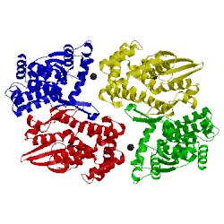 Image of CATH 1z9h