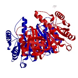 Image of CATH 1zl0