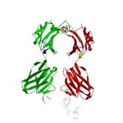 Image of CATH 1zlw