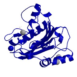 Image of CATH 1zm8