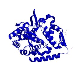 Image of CATH 1zvd