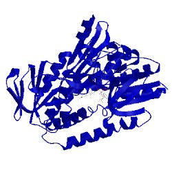 Image of CATH 1zx9