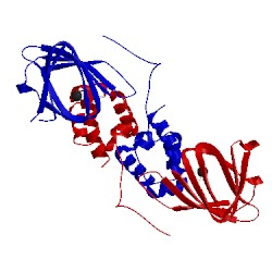 Image of CATH 1zzc